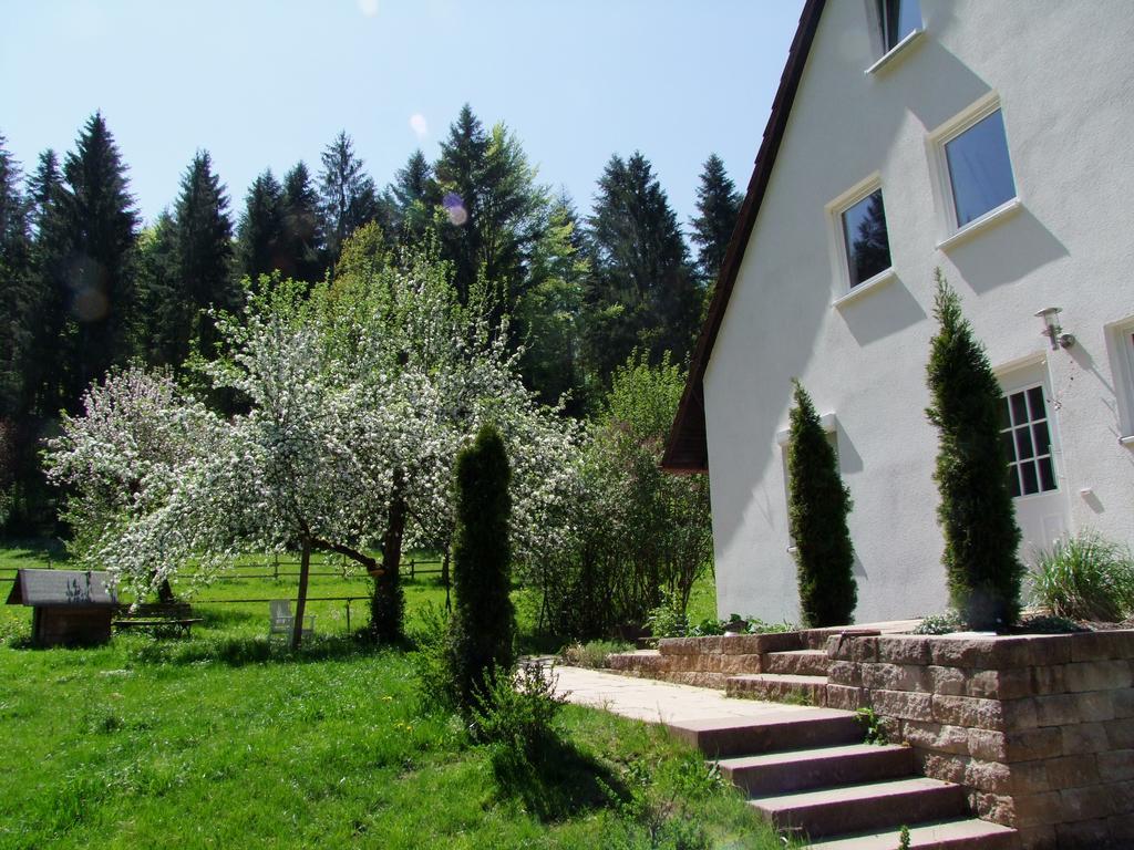 Appartamento Wonderworld Alfdorf Esterno foto