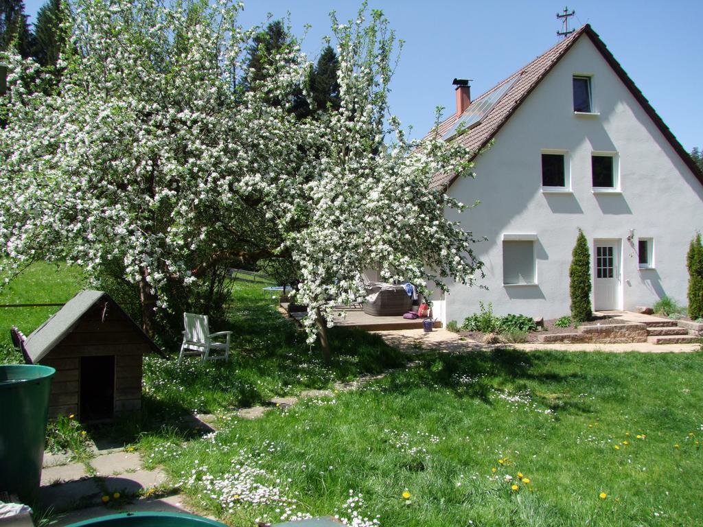 Appartamento Wonderworld Alfdorf Esterno foto